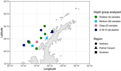 Depth drives the distribution of microbial ecological functions in the coastal western Antarctic Peninsula